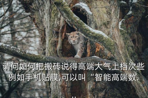 自動化搬磚設備視頻,螞蟻erp電商搬磚幫助企業(yè)處理數(shù)據(jù)