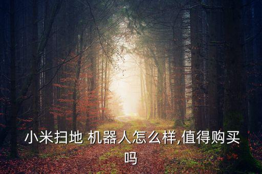  小米掃地 機(jī)器人怎么樣,值得購買嗎