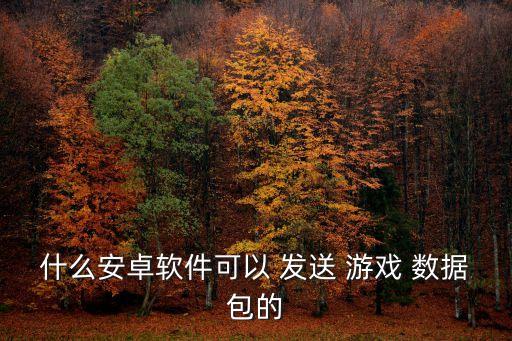 什么安卓軟件可以 發(fā)送 游戲 數(shù)據(jù)包的