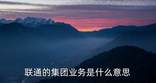 聯(lián)通的集團業(yè)務(wù)是什么意思