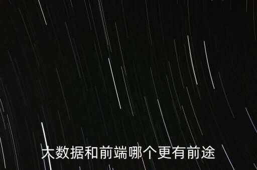 大數(shù)據(jù)和前端哪個(gè)更有前途