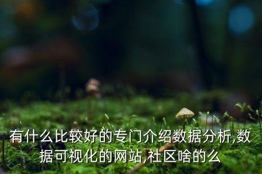 有什么比較好的專門介紹數(shù)據(jù)分析,數(shù)據(jù)可視化的網(wǎng)站,社區(qū)啥的么
