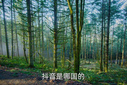 抖音是哪國的