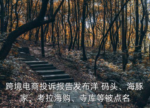 跨境電商投訴報(bào)告發(fā)布洋 碼頭、海豚家、考拉海購、寺庫等被點(diǎn)名