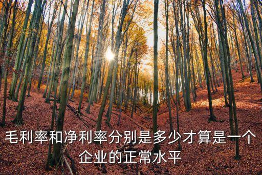 毛利率和凈利率分別是多少才算是一個(gè)企業(yè)的正常水平