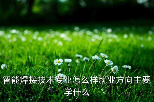 智能焊接技術(shù)專(zhuān)業(yè)怎么樣就業(yè)方向主要學(xué)什么