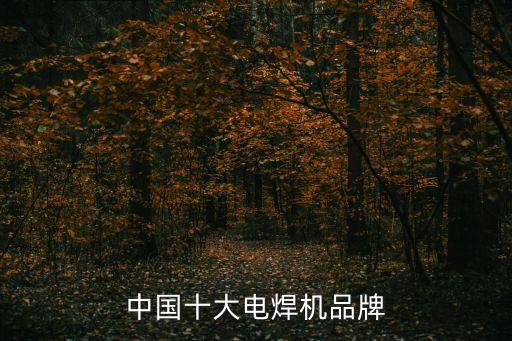 中國(guó)十大電焊機(jī)品牌