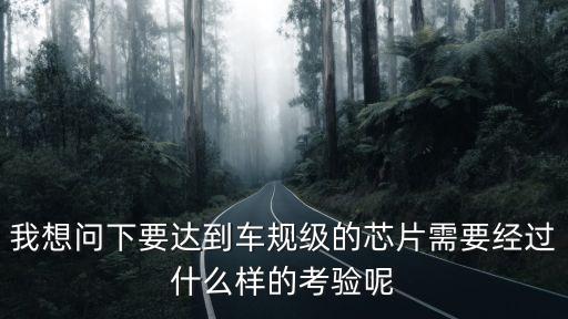 我想問下要達到車規(guī)級的芯片需要經(jīng)過什么樣的考驗?zāi)? class=