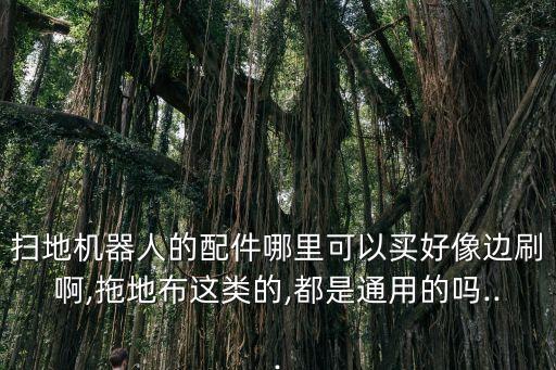掃地機(jī)器人的配件哪里可以買好像邊刷啊,拖地布這類的,都是通用的嗎...