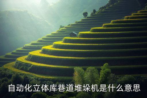 立庫(kù)生產(chǎn)線自動(dòng)化設(shè)備,板式家具自動(dòng)化生產(chǎn)線設(shè)備多少錢(qián)