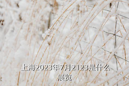 上海國(guó)際會(huì)展中心