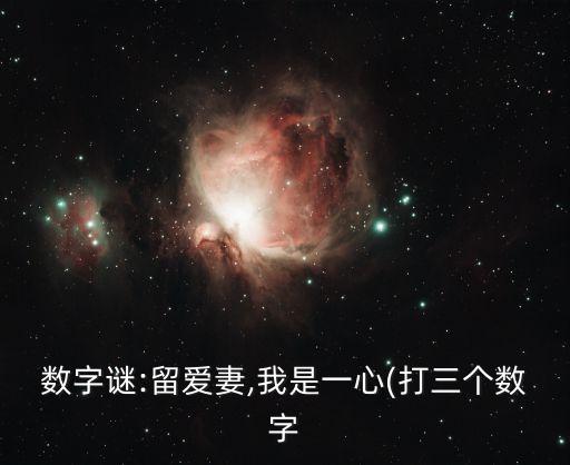數字謎:留愛妻,我是一心(打三個數字