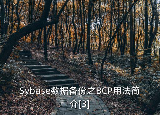 sybase數(shù)據(jù)庫實例教程,數(shù)據(jù)庫基礎(chǔ)實例教程第二版微課版