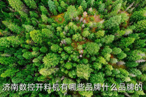自動(dòng)化數(shù)控設(shè)備廠家直銷(xiāo),數(shù)控自動(dòng)化設(shè)備有限公司怎么樣?