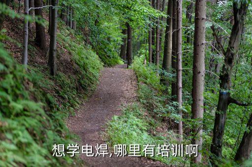 想學(xué)電焊,哪里有培訓(xùn)啊