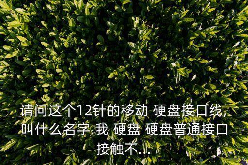 請(qǐng)問這個(gè)12針的移動(dòng) 硬盤接口線,叫什么名字.我 硬盤 硬盤普通接口接觸不...