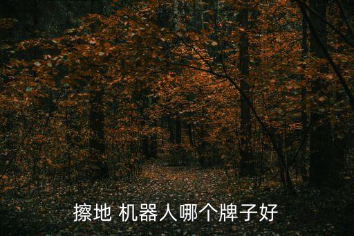 擦地 機(jī)器人哪個(gè)牌子好