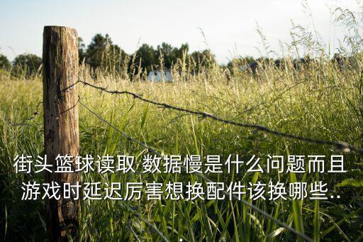 街頭籃球讀取 數(shù)據(jù)慢是什么問題而且游戲時延遲厲害想換配件該換哪些...
