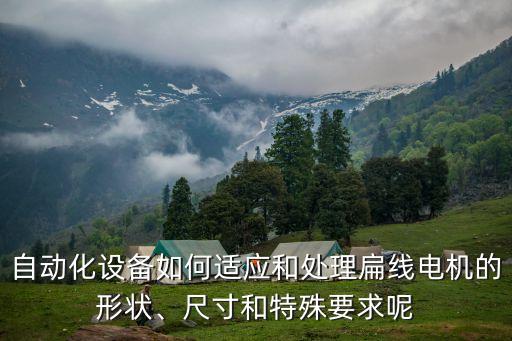 自動(dòng)化設(shè)備如何適應(yīng)和處理扁線電機(jī)的形狀、尺寸和特殊要求呢