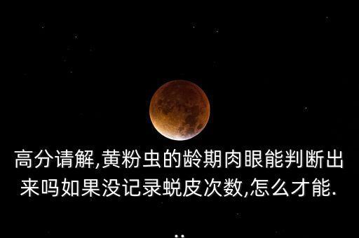 高分請(qǐng)解,黃粉蟲(chóng)的齡期肉眼能判斷出來(lái)嗎如果沒(méi)記錄蛻皮次數(shù),怎么才能...