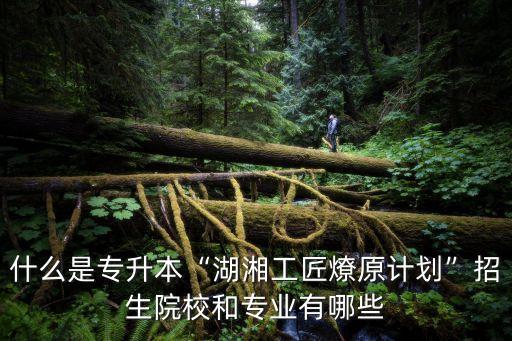 什么是專升本“湖湘工匠燎原計(jì)劃”招生院校和專業(yè)有哪些