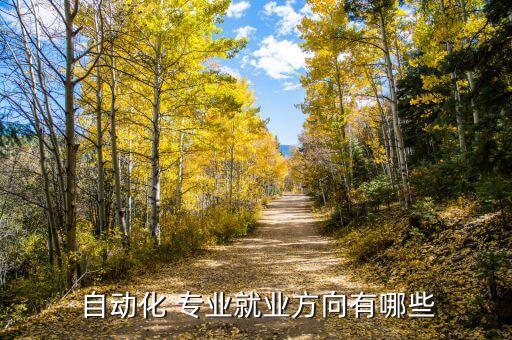  自動(dòng)化 專業(yè)就業(yè)方向有哪些