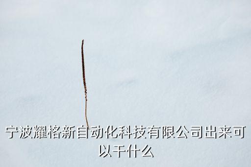 寧波耀格新自動化科技有限公司出來可以干什么