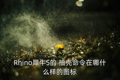 Rhino犀牛5的 抽殼命令在哪什么樣的圖標(biāo)