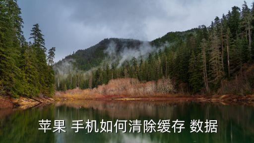  蘋果 手機(jī)如何清除緩存 數(shù)據(jù)