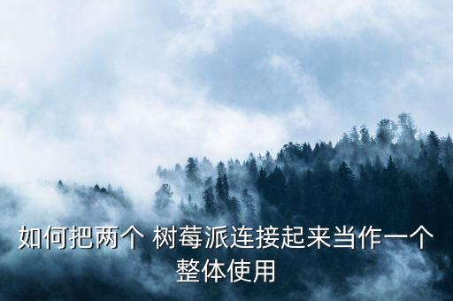 如何把兩個(gè) 樹莓派連接起來(lái)當(dāng)作一個(gè)整體使用