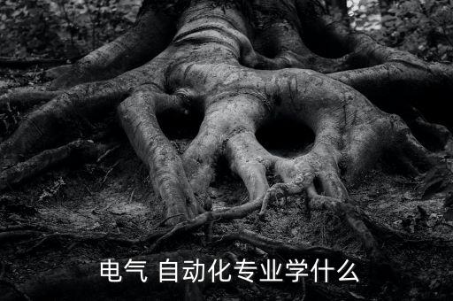  電氣 自動化專業(yè)學(xué)什么