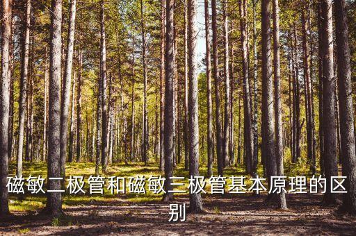 磁敏二極管和磁敏三極管基本原理的區(qū)別