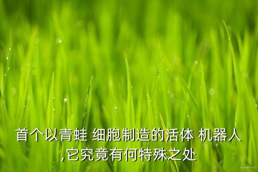 首個以青蛙 細胞制造的活體 機器人,它究竟有何特殊之處