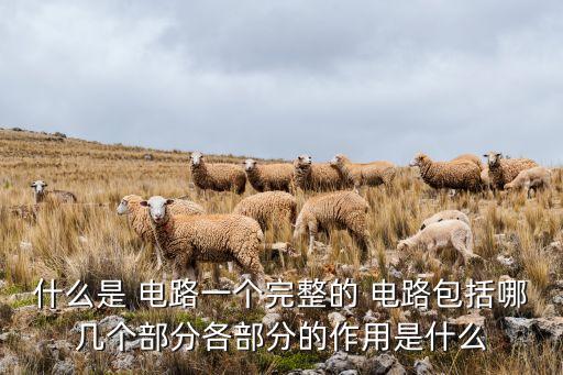 什么是電路