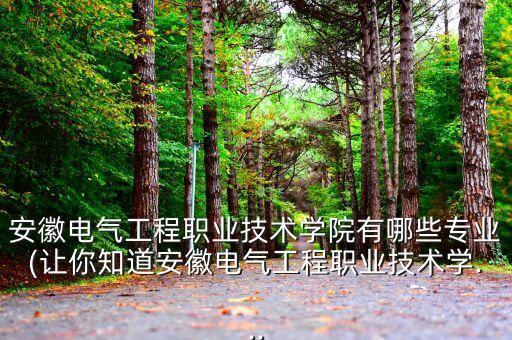 安徽電氣工程職業(yè)技術(shù)學(xué)院有哪些專(zhuān)業(yè)(讓你知道安徽電氣工程職業(yè)技術(shù)學(xué)...