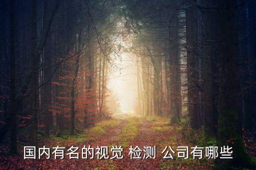 國內(nèi)有名的視覺 檢測 公司有哪些