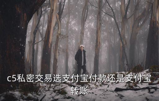 c5私密交易選支付寶付款還是支付寶轉(zhuǎn)賬