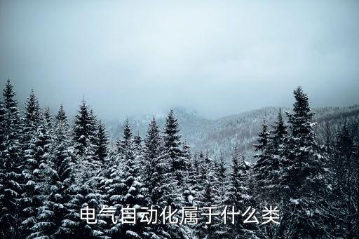 電氣自動(dòng)化技術(shù)含義,電氣自動(dòng)化的電氣如何理解?