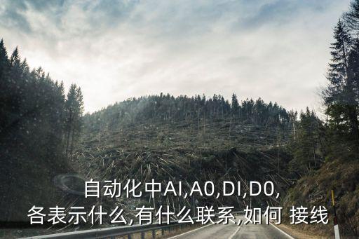  自動化中AI,A0,DI,D0,各表示什么,有什么聯(lián)系,如何 接線