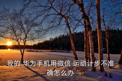 華為運動數(shù)據(jù)作弊,華為手機記錄運動數(shù)據(jù)在哪開啟