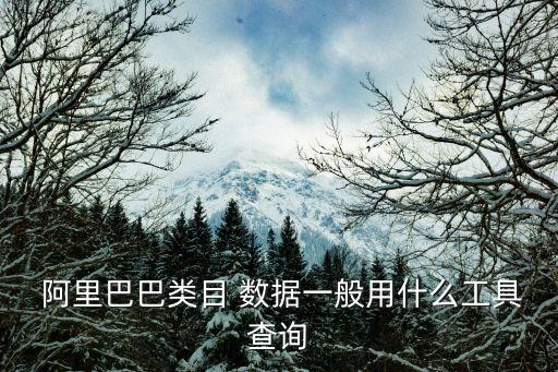  阿里巴巴類目 數(shù)據(jù)一般用什么工具查詢