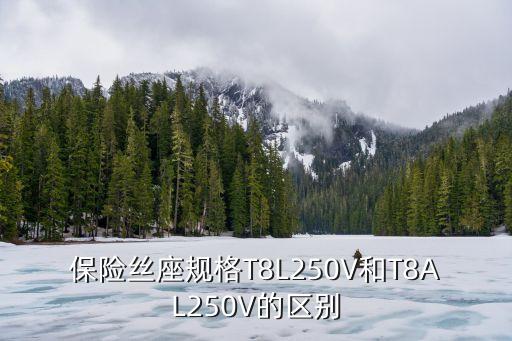 保險(xiǎn)絲座規(guī)格T8L250V和T8AL250V的區(qū)別
