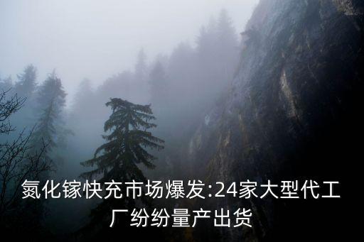 氮化鎵快充市場(chǎng)爆發(fā):24家大型代工廠紛紛量產(chǎn)出貨