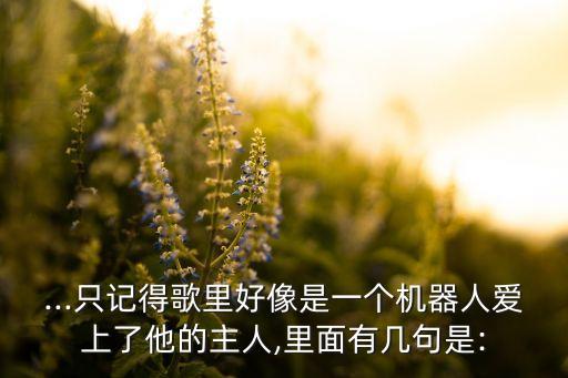 ...只記得歌里好像是一個機器人愛上了他的主人,里面有幾句是: