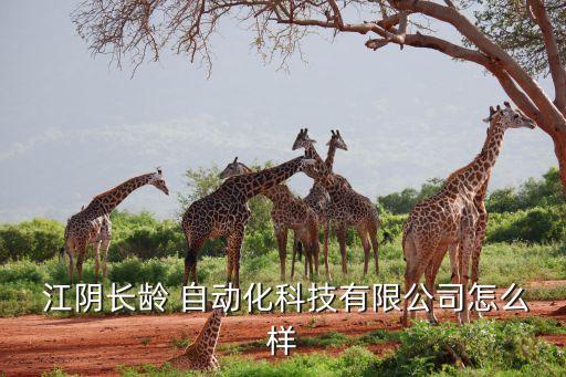  江陰長齡 自動化科技有限公司怎么樣