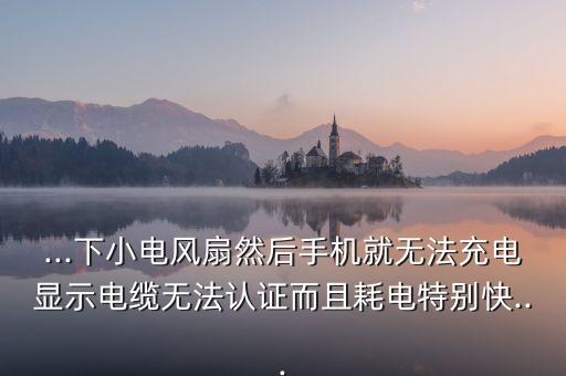...下小電風(fēng)扇然后手機(jī)就無(wú)法充電顯示電纜無(wú)法認(rèn)證而且耗電特別快...