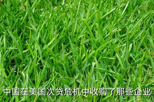 中國在美國次貸危機中收購了那些企業(yè)