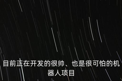 目前正在開發(fā)的很帥、也是很可怕的機(jī)器人項(xiàng)目