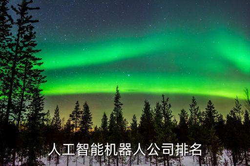 人工智能機器人公司排名