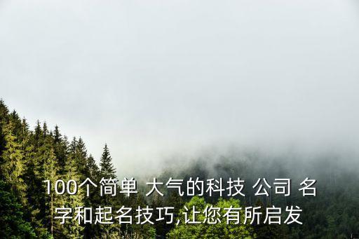 100個(gè)簡單 大氣的科技 公司 名字和起名技巧,讓您有所啟發(fā)
